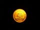 China Panda Gold Coin 1994 Circulated 5 Yuan 1/20 Ounce Pure Gold.  999 Insured China photo 3
