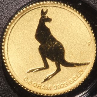 Australia.  2014 $2 Kangaroo Miniature Gold Coin.  0.  016 Oz/.  5 Gram.  99.  99 Fine. photo