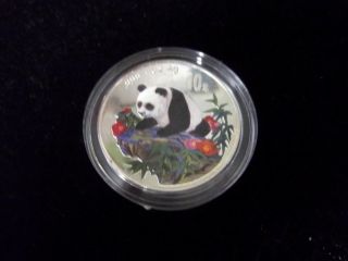 1999 Painted 1 Oz Silver Panda photo