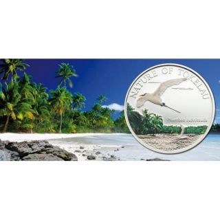 Tokelau 2012 5$ Nature Of Tokelau Tropicbird 20g Silver Coin Limited Mintage photo