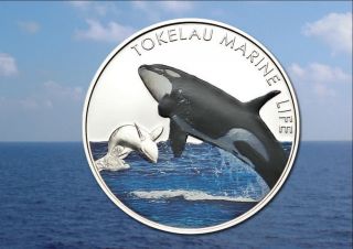 Tokelau 2012 5$ Orca Killer Whale Tokelau Marine Life 20g Proof Silver Coin photo