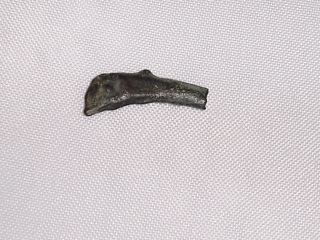 Sarmatia,  Olbia.  Bronze Cast Dolphin Money.  5th Century Bc photo