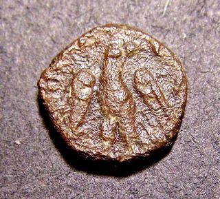 Ancient Provincial Coin,  Roman Or Ptolemaic? Eagle,  14 Mm,  2.  93 Gm photo