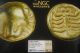 El 1/48 Stater,  500bc,  Caria,  Mylasa,  Lion Scalp/scorpion,  Ngc F,  4/5,  5/5,  321 Coins: Ancient photo 2