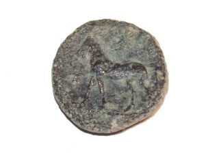 Cyprus Bronze Coin Evagoras Ii 361 - 351 B.  C photo