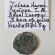 Biblical Era Herodians.  Agrippa I (ad 37 - 44).  Canopy / Grain Ears Æ Prutah Coins: Ancient photo 1