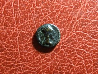 Armenian Tigran I The Great Artaxiad Dynasty & Seleucid Kingdom Ae13 Rare Coin photo