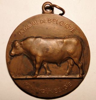 Bronze Belgian Bull Cattle Medal Demeester 1954 photo