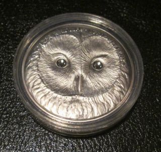 2011 Mongolia Ural Owl.  999 Silver Endangered Wildlife Swarovski Elements Coin photo