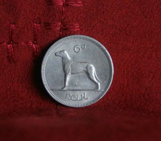 6 Pence Ireland 1968 World Coin Irish Harp Wolfhound Dog Km13a Eire photo