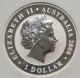 2008 Australia $1 Koala,  One Of First 8000 Struck,  Ngc Certified Gem Bu Australia photo 1
