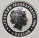 2008 Australia $1 Koala,  One Of First 8000 Struck,  Ngc Certified Gem Bu Australia photo 3