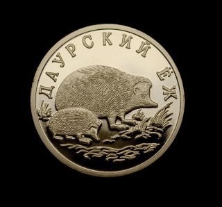 Russia – 1 Rouble Coin 1999 - Hedgehog,  Igel,  Ёж,  Wildlife photo
