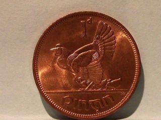 Ireland Coin 1952 Irish Penny Brilliant Uncirculated Red photo