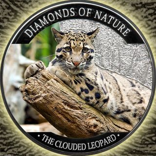Clouded Leopard 2013 Diamonds Of Nature (white Tiger) Series Silver Coin 2 Fiji photo