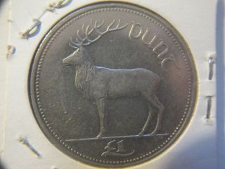 1999 Ireland 1 Punt/pound Stag Deer Coin Uc photo