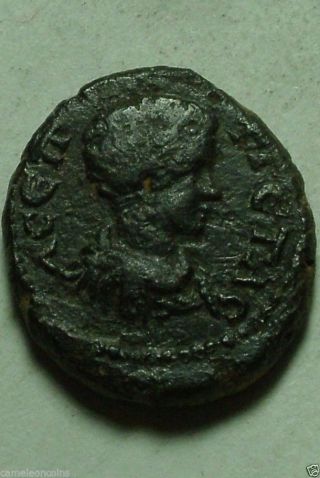 Rare Ancient Roman Bronze Coin Geta Victory Wreath Pautalia,  Thrace photo
