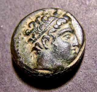 Philip Ii,  Father Of Alexander The Great,  Olympic Horseman,  336 Bc,  Greek Coin photo