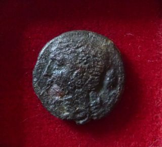 Ancient Greek Coin Sicily 4th - 3rdc Bc Artemis / Nymph Persephone Quadriga Ae19 photo