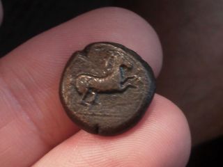 Ef Siculo - Punic: 4th C.  Bc.  Wreathed Head Of Persephone - Tanit / Horse Rearing photo