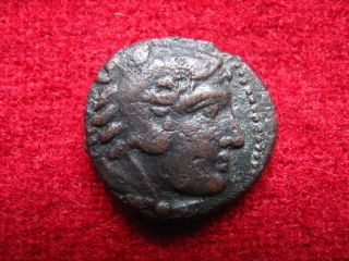 Greek Coin Heracles Eagle Amyntas Iii,  King Of Macedonia / 393 - 369 Bc. photo