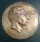 Suez / Panama - Ferdinand De Lesseps 1884 Medal / Plaque By Ringel D ' Illzach Exonumia photo 3