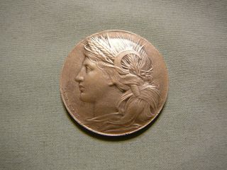 Rare Bronze 1904 Worlds Fair Louisiana Purchase Exposition Token / Medal photo