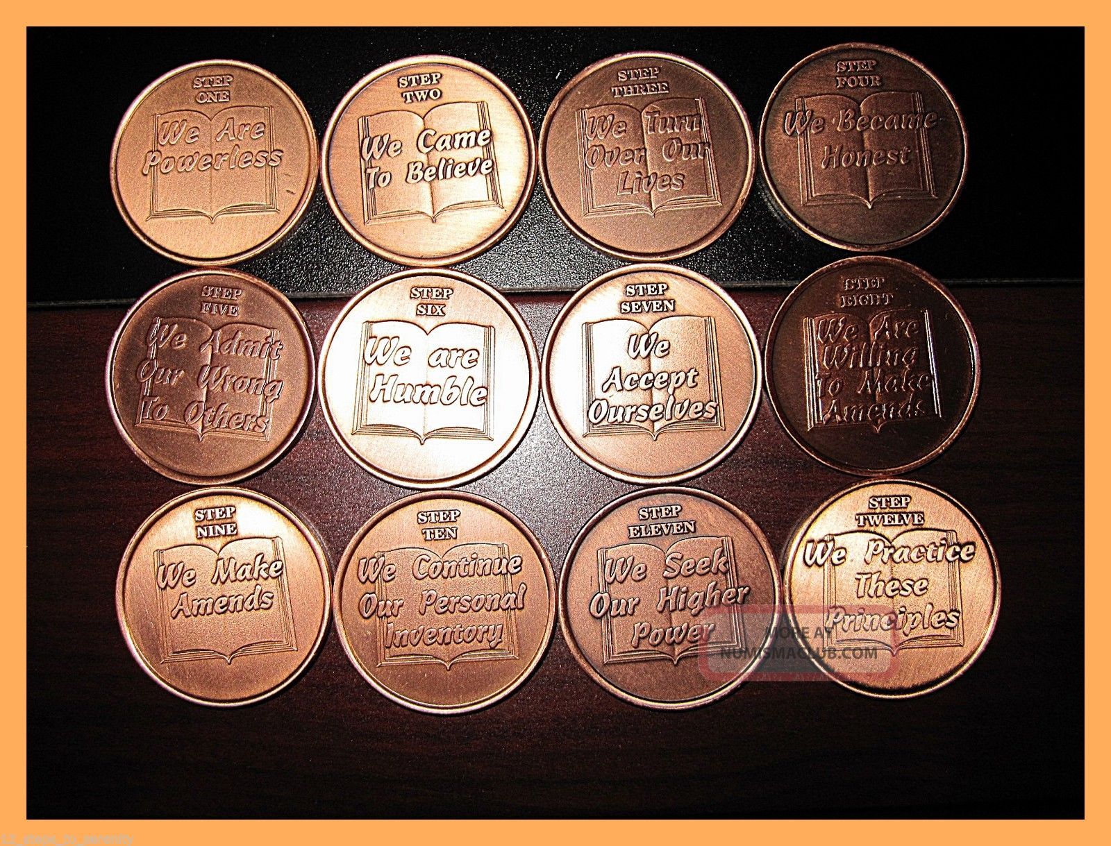12 Copper Principles Steps Medallions Alcoholics Narcotics Anonymous Exonumia photo
