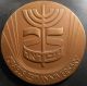 1973 State Of Israel 25th Anniversary Bonze Medal,  Zodiac Exonumia photo 1