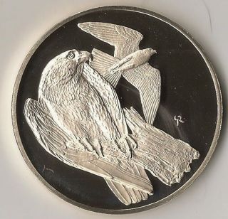1971 Peregrine Falcon 2,  Ounce Sterling Silver Medal Franklin Roberts Birds photo