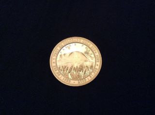 Daniel Carr Pike ' S Peak One Ounce Pure Gold,  Proof - Like Finish Round.  2009 photo