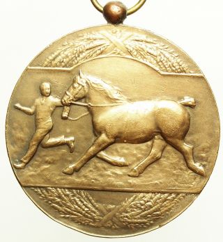 Gorgeous Antique Bronze Art Medal The Horse By H.  Heusers 1927 photo