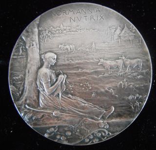 - France - 1896 - National & Coloniial Expo - By Roty - Silvered Bronze Medal photo