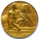 George D.  Widener Gold Medal,  Seymour Lipton Awarded,  Designed By Albert Laessle Exonumia photo 6