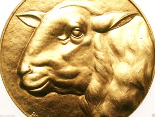 Portrait Of The Sheep Animal - Large Vintage Medal Signed R.  Demeester photo