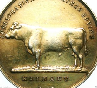 Improvement Of Cow Species - 1894 Antique Gilded Silver Art Medal Signed Hart photo
