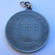 Louis Braille Commemorative Medal (nfb National Foundation For The Blind) (s513) Exonumia photo 1