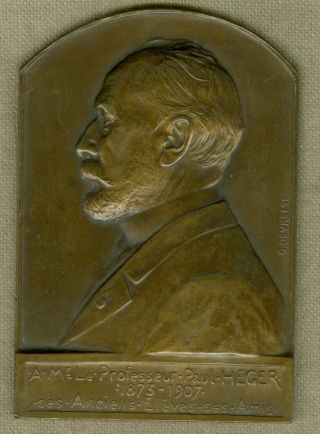 1907 Belgium Medal In Honor Of Professor Paul Heger,  By G.  Devreese photo