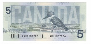 1986 Bank Of Canada 5$ Kn / Do Anu1557905 To Anu1557906 2 Consecutive photo