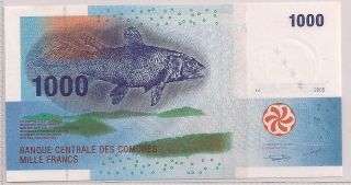 Comores 2005 - Banknote 1000 Francs Pick 16 Uncirculated - A260823 photo
