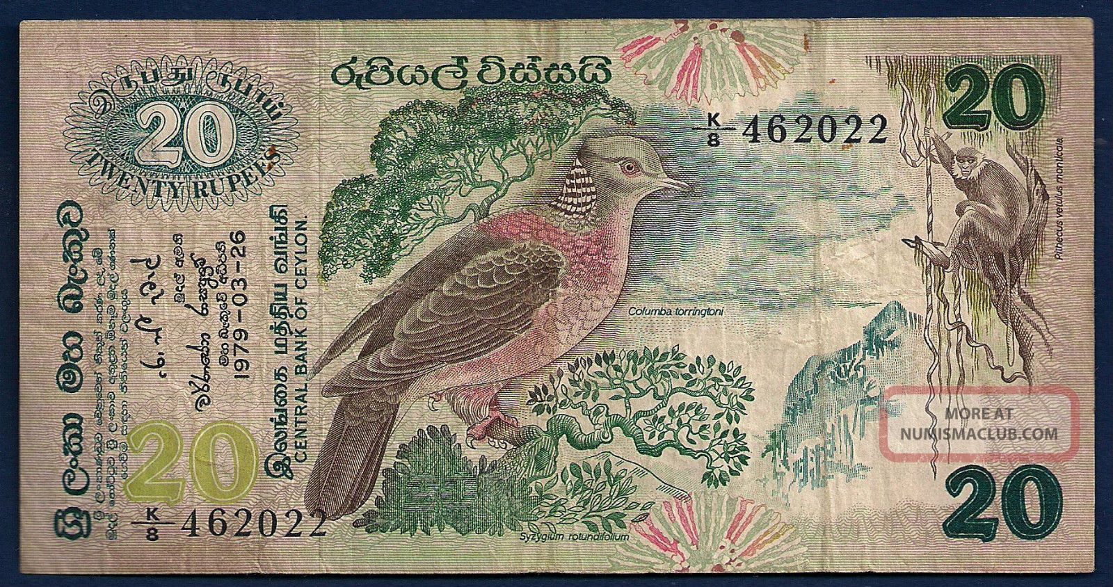 Sri Lanka (ceylon Central Bank) 20 Rupees 1979 P - 86 Exotic Bird Monkey Etc Asia photo