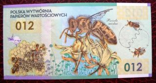 Unc - Honey Bee - Pwpw 2013,  First Polish Polymer Banknote photo