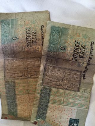 20 Egyptian Pounds Paper Money photo