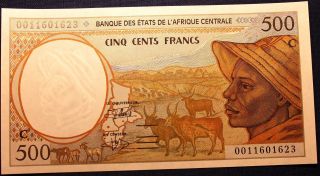 Congo 500 Francs Unc 2000? - P101c - Shepherd & Cows - Crisp photo