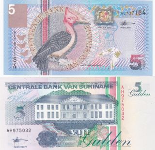 2 Different 5 Gulden From Suriname Extra Fine - Aunc Note photo