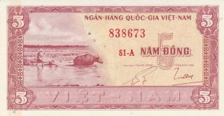 1955 Vietnam/south 5 Dong Banknote photo
