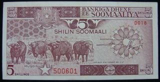 Somalia 5 Shillings 1987 Unc. photo