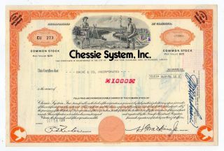 Chessie System,  Inc.  Stock Certificate photo