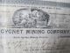 1900 The Cygnet Mining Company Inc.  Stock Certificate Stocks & Bonds, Scripophily photo 1