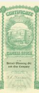 1920 Stock Certificate - Detroit - Wyoming Oil And Gas Company Stocks & Bonds, Scripophily photo 2